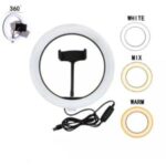 Import LED ring light from chinese wholesale supplier and manufacturer