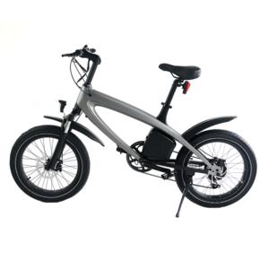Import Lehe S2 fat tire electric bike from chinese wholesale supplier and manufacturer