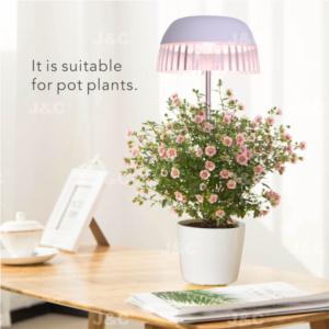 Import MG-TG-004 USB grow light USB charging height adjustable simple design transparent skirt design stylish light effect anti-glaring indoor decoration big pot grow led from chinese wholesale supplier and manufacturer