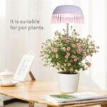 Import MG-TG-004 USB grow light USB charging height adjustable simple design transparent skirt design stylish light effect anti-glaring indoor decoration big pot grow led from chinese wholesale supplier and manufacturer