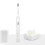 Import sonic electric toothbrush from chinese wholesale supplier and manufacturer