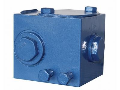 Import Special Functional Modules Hydraulic Check Valve DXF25 from chinese wholesale supplier and manufacturer