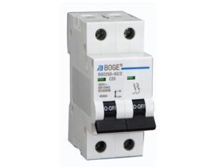 Import BGDZ65-63/2P from chinese wholesale supplier and manufacturer