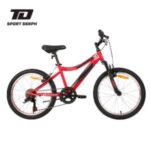 Import Bicycle from chinese wholesale supplier and manufacturer