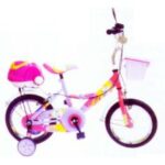 Import Bicycle HW-TC-05 from chinese wholesale supplier and manufacturer