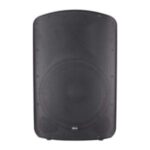 Import BLG BP19-12A/BP19-15A 12″/15″ powered ABS speaker with APP control 800W D-Class amplifier Bluetooth/DSP from chinese wholesale supplier and manufacturer