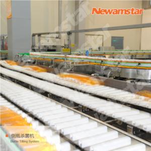 Import Bottle tilting sterilization chain from chinese wholesale supplier and manufacturer