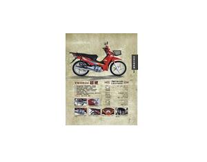Import Electric Bike & Parts from chinese wholesale supplier and manufacturer