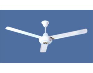 Import Electrical Fan & Exhaust Fan from chinese wholesale supplier and manufacturer