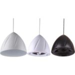 Import hanging speaker from chinese wholesale supplier and manufacturer