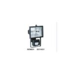Import Induction lamp – Lawn lamp series from chinese wholesale supplier and manufacturer