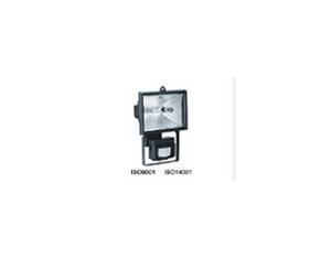 Import Induction lamp – Lawn lamp series from chinese wholesale supplier and manufacturer