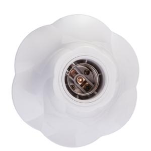 Import lampholder from chinese wholesale supplier and manufacturer