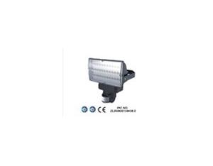 Import LED grass floodlights series from chinese wholesale supplier and manufacturer