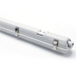 Import LED Tri-proof light from chinese wholesale supplier and manufacturer