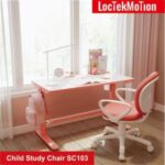Import Loctekmotion Child Study Chair SC103 from chinese wholesale supplier and manufacturer