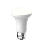 Import R20 5W 325LM from chinese wholesale supplier and manufacturer