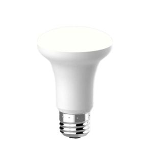 Import R20 5W 325LM from chinese wholesale supplier and manufacturer