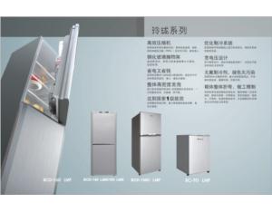 Import Refrigerator from chinese wholesale supplier and manufacturer