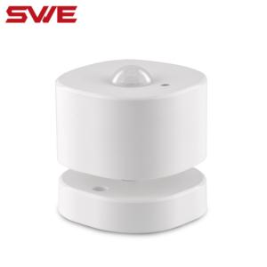 Import Smart PIR Motion Sensor from chinese wholesale supplier and manufacturer