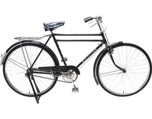 Import SPB15 – “PHOENIX” double tube bicycle for gents from chinese wholesale supplier and manufacturer