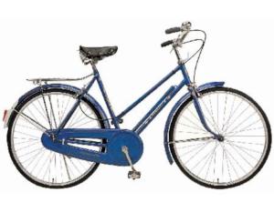 Import SPL65 – “PHOENIX” light roadster for ladies from chinese wholesale supplier and manufacturer