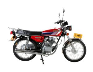 Import Street Motorcycle WY125-6 from chinese wholesale supplier and manufacturer