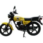 Import Street Motorcycle WY125-6E II from chinese wholesale supplier and manufacturer