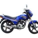 Import Street Motorcycle WY125-9 from chinese wholesale supplier and manufacturer