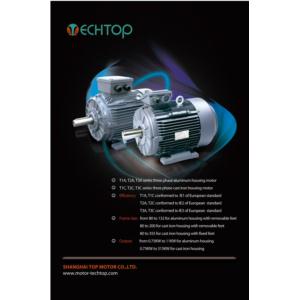 Import T series induction motors( IE1 IE2 IE3 IE4 efficiency) from chinese wholesale supplier and manufacturer