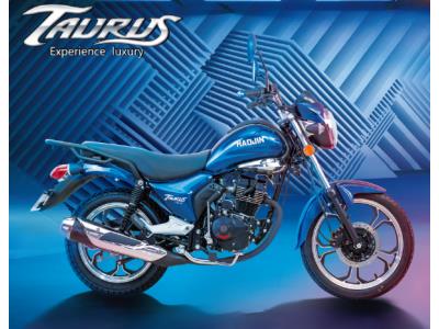 Import Taurus HJ25-22 from chinese wholesale supplier and manufacturer