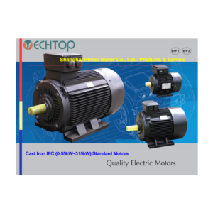 Import TC series induction motors( IE1 IE2 IE3 IE4 efficiency)-Cast iron from chinese wholesale supplier and manufacturer