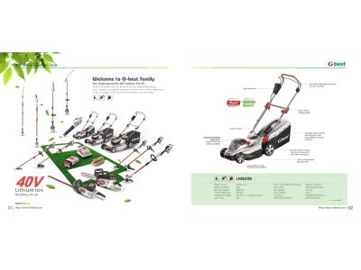 Import the single powerful 40V battery fits all from chinese wholesale supplier and manufacturer