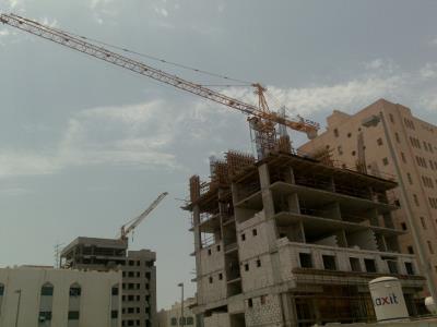 Import Tower Crane TC5013 from chinese wholesale supplier and manufacturer