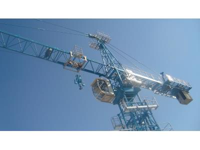 Import Tower Crane TC5613 from chinese wholesale supplier and manufacturer