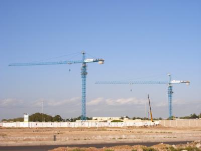 Import Tower Crane TC6520 from chinese wholesale supplier and manufacturer