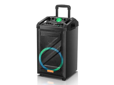 Import Trolley Speaker BAT-10F from chinese wholesale supplier and manufacturer
