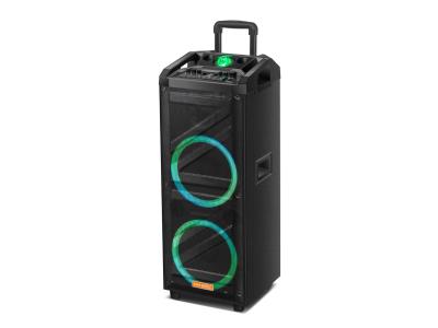 Import Trolley Speaker BAT-212F from chinese wholesale supplier and manufacturer