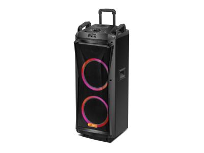 Import Trolley Speaker GB-210F from chinese wholesale supplier and manufacturer