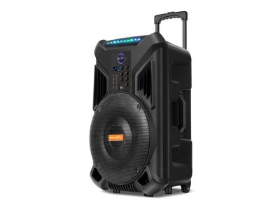 Import Trolley Speaker TDA-15F from chinese wholesale supplier and manufacturer