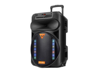 Import Trolley Speaker TEB-15D from chinese wholesale supplier and manufacturer