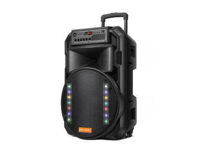 Import Trolley Speaker TEC-15D from chinese wholesale supplier and manufacturer