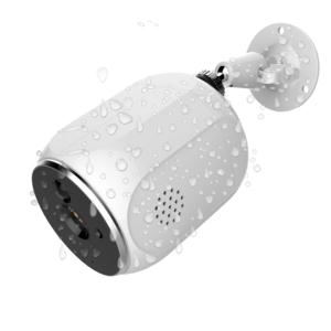 Import Wireless camera Planet 13X from chinese wholesale supplier and manufacturer