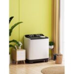 Import 12KG Twin Tub Washing Machine XPB120-6710S from chinese wholesale supplier and manufacturer