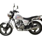 Import 150CC MOTORCYCLE—DRAGON from chinese wholesale supplier and manufacturer
