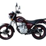 Import 150CC MOTORCYCLE—DRAGON A from chinese wholesale supplier and manufacturer