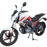 Import 150CC MOTORCYCLE—SHADOW FLY from chinese wholesale supplier and manufacturer
