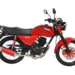 Import 150CC MOTORCYCLE—WOLF CG from chinese wholesale supplier and manufacturer