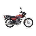 Import Motorcycle from chinese wholesale supplier and manufacturer