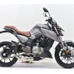Import 2022 SENKE new street bike Alien Monster SK300-K from chinese wholesale supplier and manufacturer